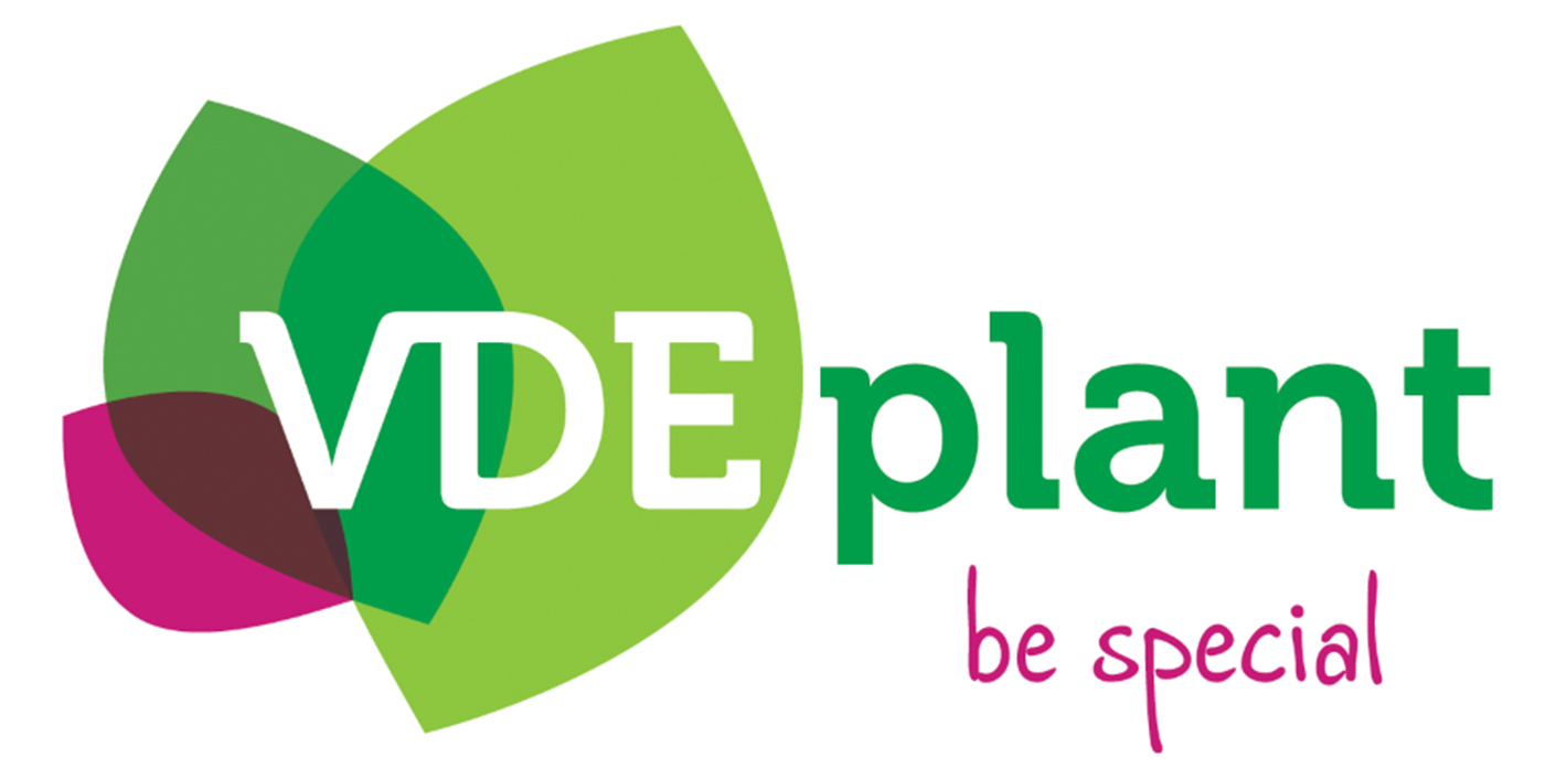 VDE plant